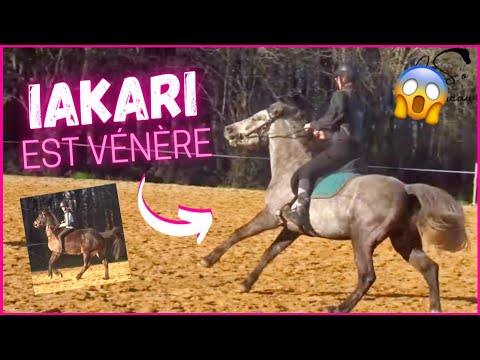 [COURS] Galop à cru et dressage !😁11/02/23 - CS'o Landreau