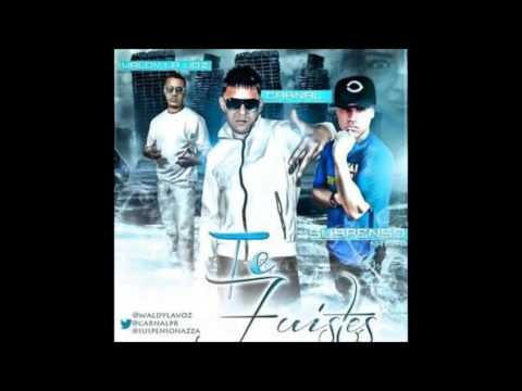 Carnal Ft Waldy La Voz Y Suspenso Nazza | Te Fuistes (Prod  By Nemesio Music)