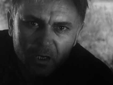 Ein Menschenschicksal...aktueller denn je,1941 - 1945 im großen Vaterländischen Krieg