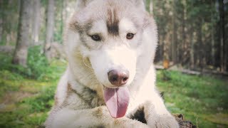 Paperwhite - Only Us (Lyric Video)