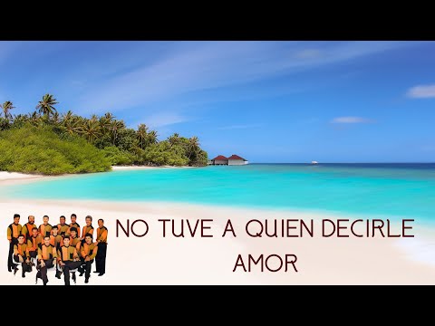 NO TUVE A QUIEN DECIRLE AMOR - GRUPO NICHE  ( LETRA OFICIAL )