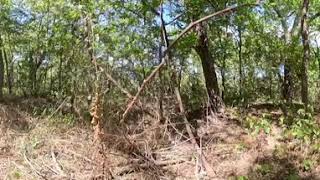 Barton Creek Greenbelt Run - GoPro MAX2 - October 5, 2025