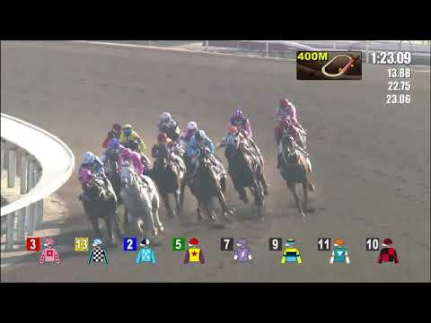 16/1/2022 (343) Romantic Combo - K Teetan