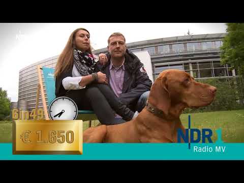 25.06.2015 - NDR Fernsehen, Nordmagazin - Trailer Radioshow