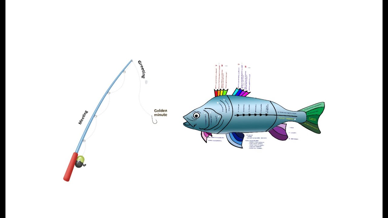 OSCE fish clinical examination system