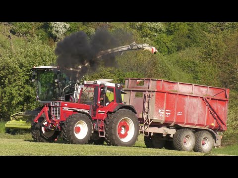 Silage 2025 wie nie zuvor – CLAAS Jaguar 970 & IHC  International 1455 XL mit Dampf & Drehzahl!