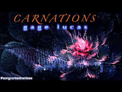 Track #6 (2014) - Carnations (Remastered)