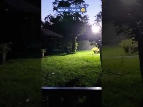 Buenas Noches #shorts