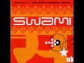 DJ Swami - DesiRock (album version)