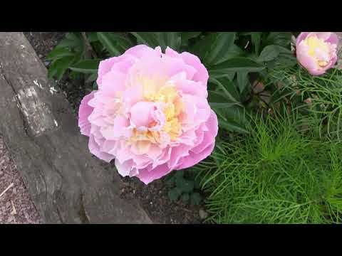 House of George Sand & Prieure d' Orsan