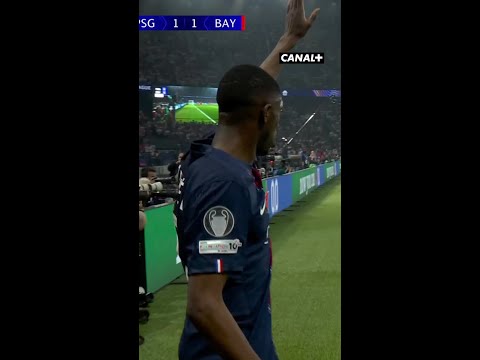 JOYAU NEVES FRAPPE ENCORE 💎