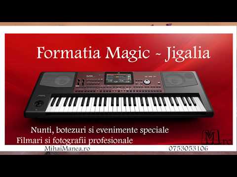 Formatia Magic - Floricele de pe vale