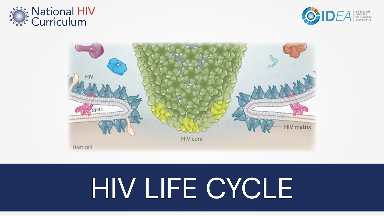 Mini-Lecture Series: Overview of the HIV Life Cycle
