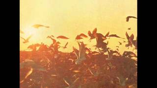 Riccardo Cocciante - Canto popolare