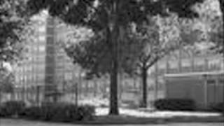 LEP SAY GOODBYE TO THE PROJECTS PT.2 HISTORY OF THE LOW END