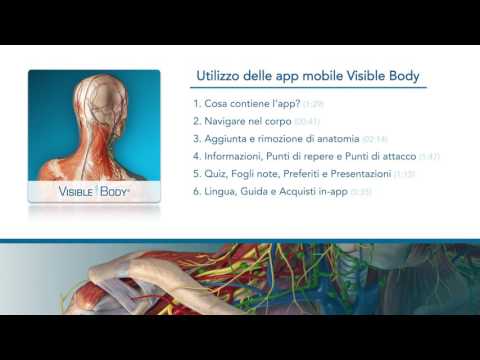Forti dolori alladdome e alla schiena, allo stesso tempo Stretching e le articolazioni