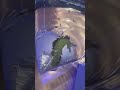 Did I Finally Beat The Parasite In My Fish Tank
