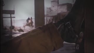 Townes van Zandt ~ Snake Mountain Blues