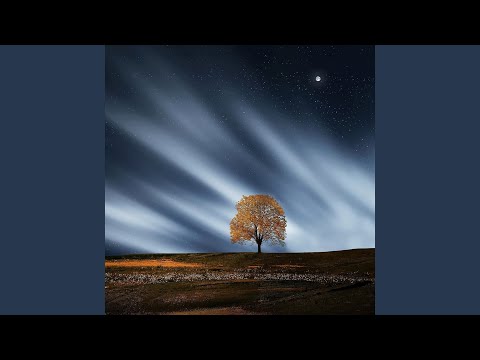 Memory of That Night