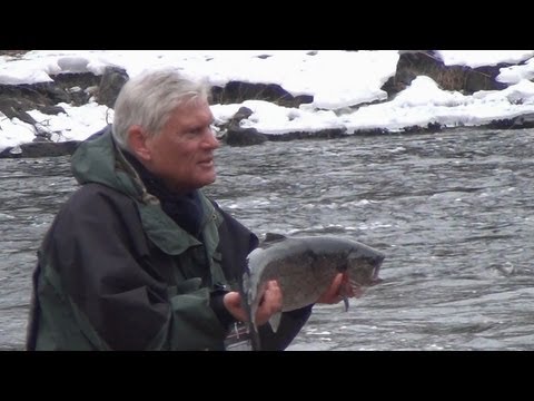 Mörrum River salmonfishing