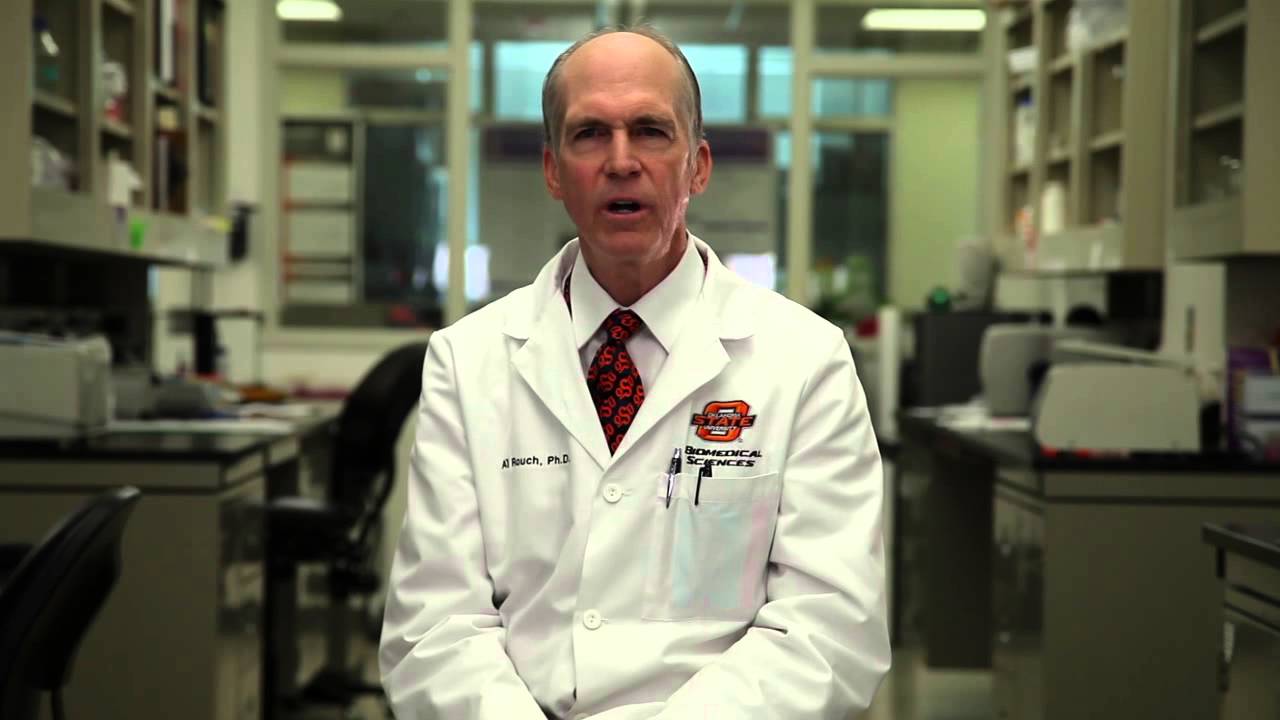 Research Spotlight - Dr. Al Rouch