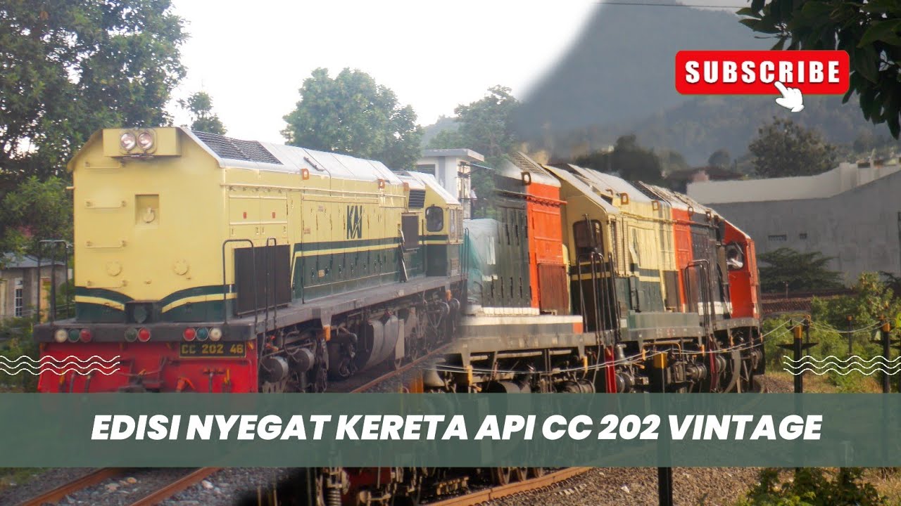 ‼️LOKOMOTIF CC 202 VINTAGE MOMENT | cc 202 | cc 202 vintage