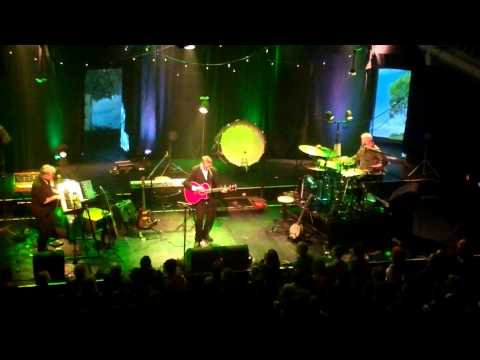 Nits - Boy in a Tree