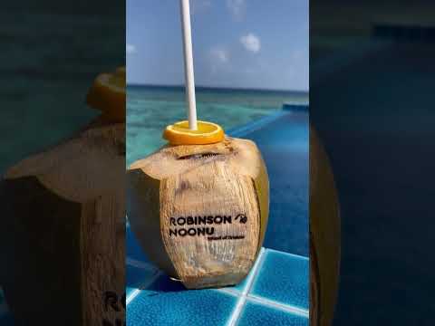 Videos del Robinson Noonu 5★ en Manadhoo, MaldivasVer MásVerPrecios20CerrarConsulta por Whatsapp 🇦🇷BookingTripadvisorExpediaAgodaTravelocityOrbitzPricelineTripSkyscannerDespegarKayakHotelesDestiniaTrivagoAlmundoLastminuteHotwireCheapticketsTuiWotif