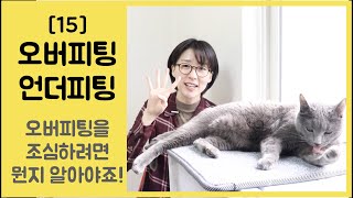 [15] 오버피팅, 언더피팅 무엇일까요? - 오버피팅을 피하려면 뭔지 알아야겠죠 :)