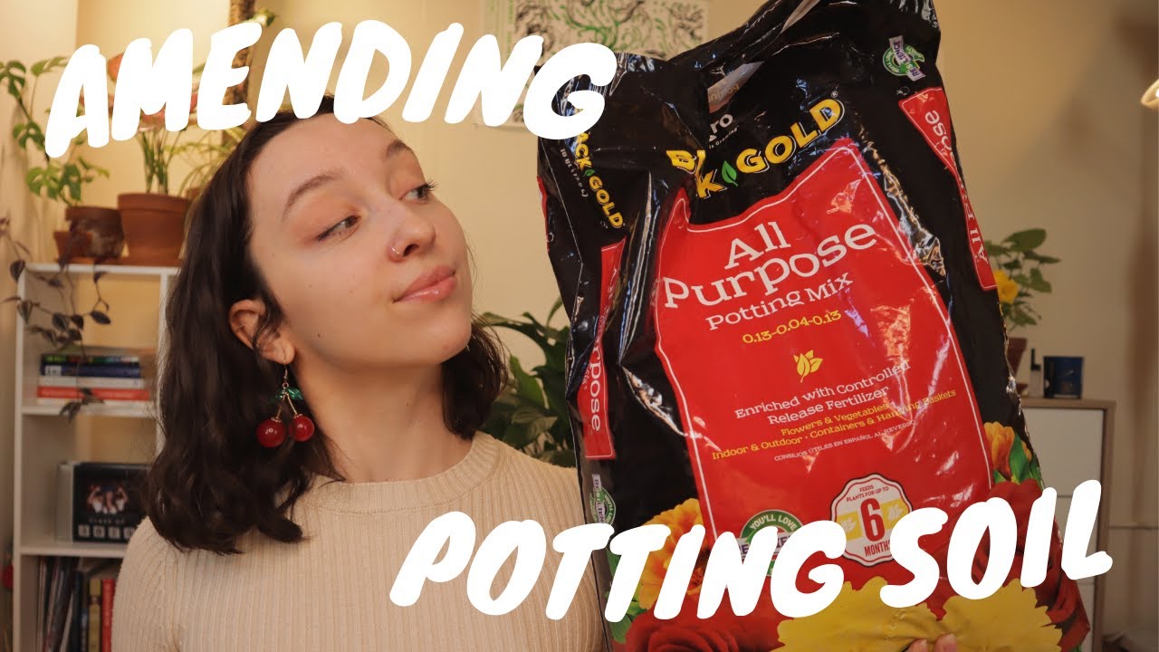 Watch video AMENDING POTTING SOIL MIX | make black gold and miracle gro soil BETTER for indoor plants! Now AMENDING POTTING SOIL MIX | make black gold and miracle gro soil BETTER for indoor plants!