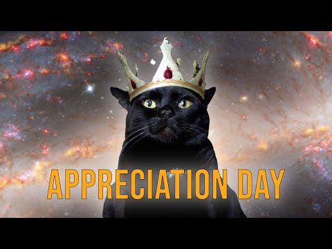 🐱 Black Cat Appreciation Day | Appreciate the Animal | Black is Love 🐱