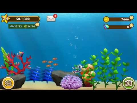 Fish Garden - My Aquarium Video