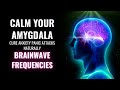 Calm Your Amygdala Cure Anxiety Panic Attacks Naturally Brainwave Frequencies Amygdala Music