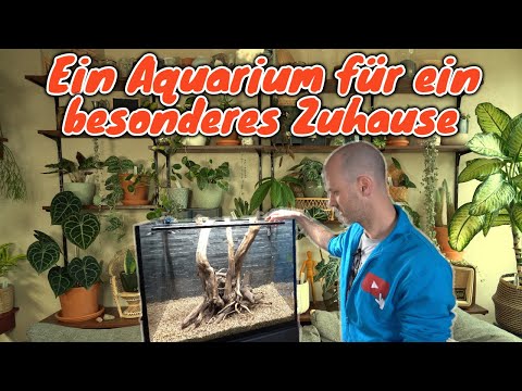 , title : 'Ein Aquarium für eine traumhafte DIY Wohnung | Der wirklich letzte Kundenauftrag für AQUAddicted!'