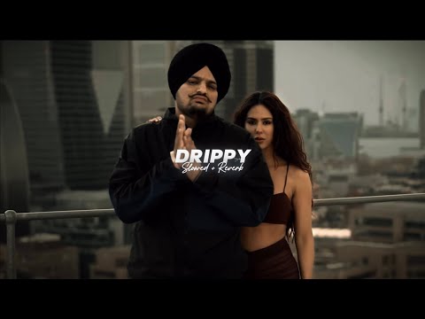 Drippy ( Slowed + Reverb ) - Sidhu Moose Wala | Mxrci | AR Paisley