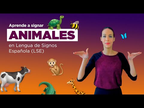Cómo signar Reino Animal en LSE