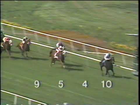 Hollywood Park 4/30/93 Race 5