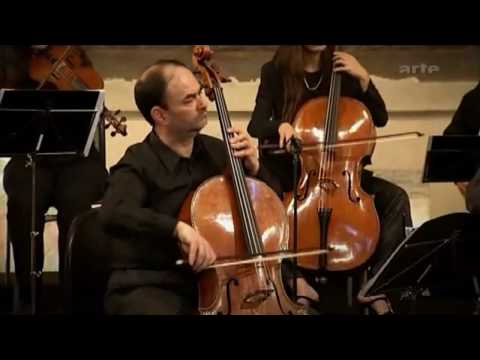 Il Giardino Armonico - Vivaldi - Concerto for cello in A minor RV 419 PART3