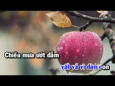 Dáng mẹ ngày xưa - Hoàng Thông