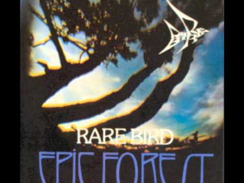 Rare Bird - You're Lost