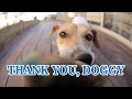 "Thank You, Doggy” (Milo’s Kitchen loves you!) "Thank You, Doggy” (Milo’s Kitchen loves you!)