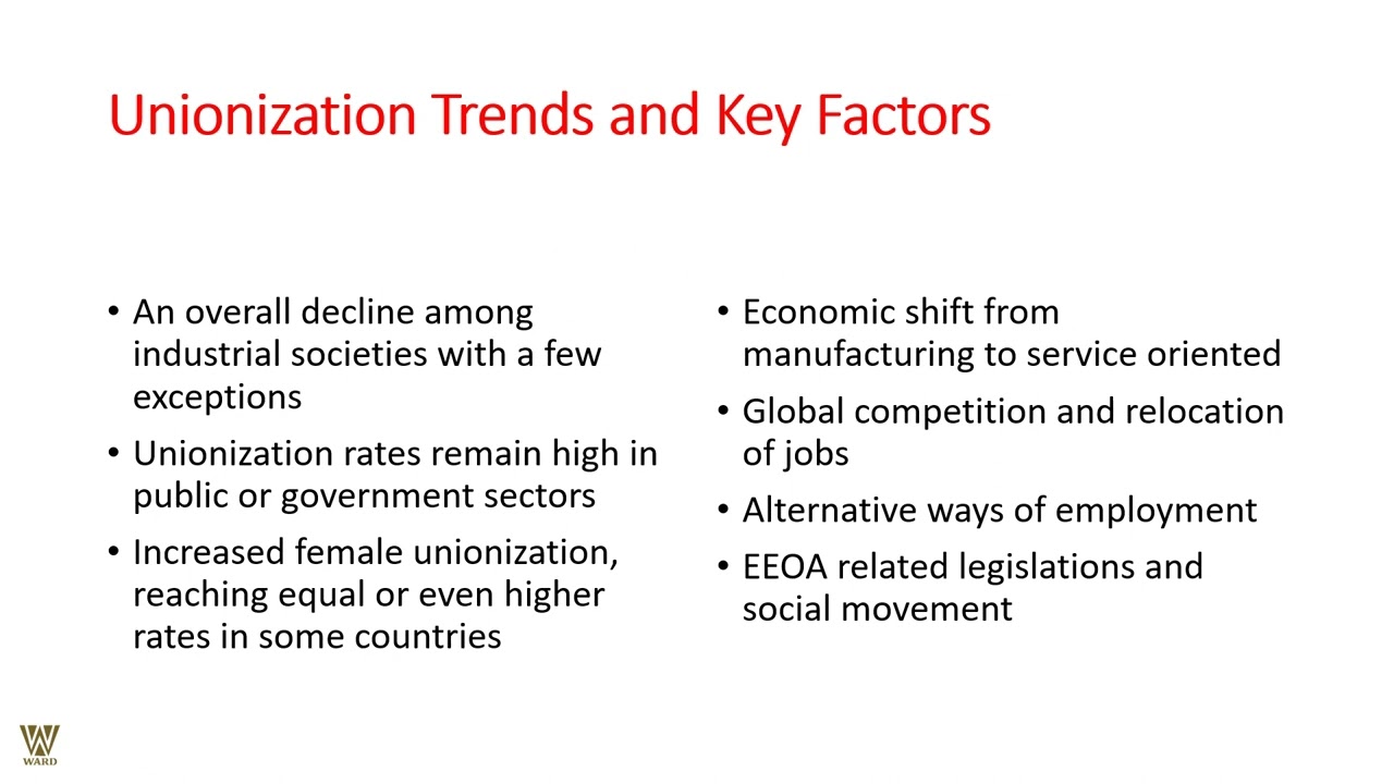 Industrial Relations A comparative & International Perspective