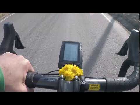 Hestehov på sykkel 28.mars 2019