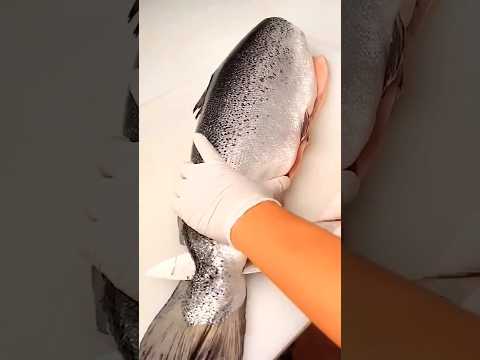 Trout fish catching #viral #shortfeet #hashtags