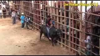 preview picture of video 'Primer dia de Jaripeo. San Melchor Betaza 2015.'