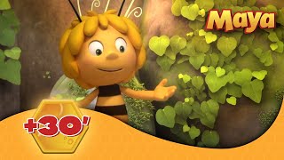 La Abeja Maya 🕘 Compilación 43&#39; (Ep3,Ep4)