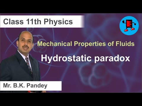 CBSE Class 11 Physics Mechanical Properties of Fluids Hydrostatic paradox |Extraminds