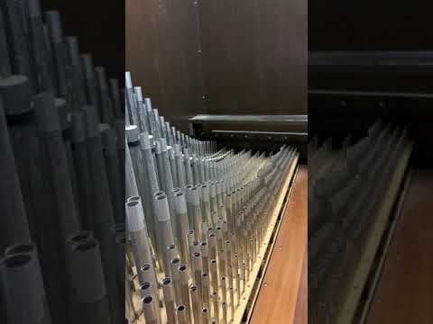 Tour of the Organ Chambers