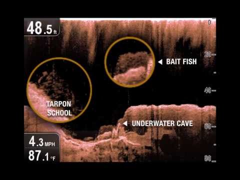 Raymarine Downvision Best DownVision Shots