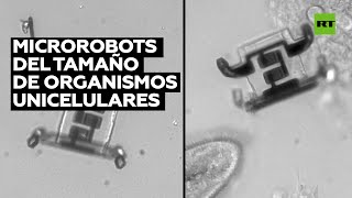 Fabrican robots de tamaño microscópico